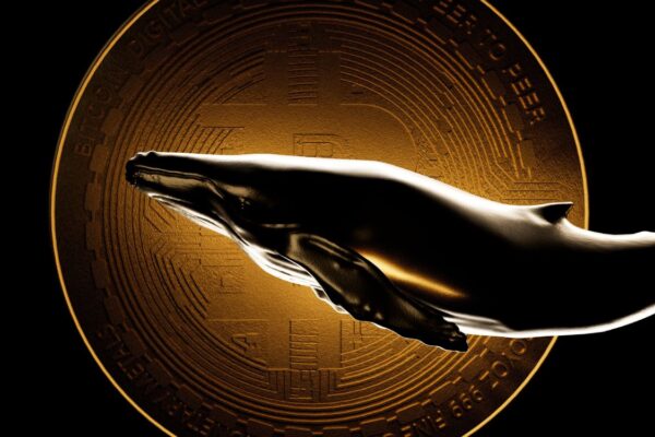 Kripto balinası, Bitcoin long pozisyonlarını kapatmaya başladı